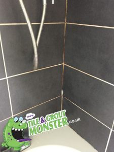TILE AND GROUT MONSTER BATHROOM CLEANING SERVICE CARRICKFERGUS, NORTHERN IRELAND