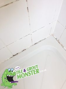 Tile cleaning service, bathroom shower restored, Northern Ireland