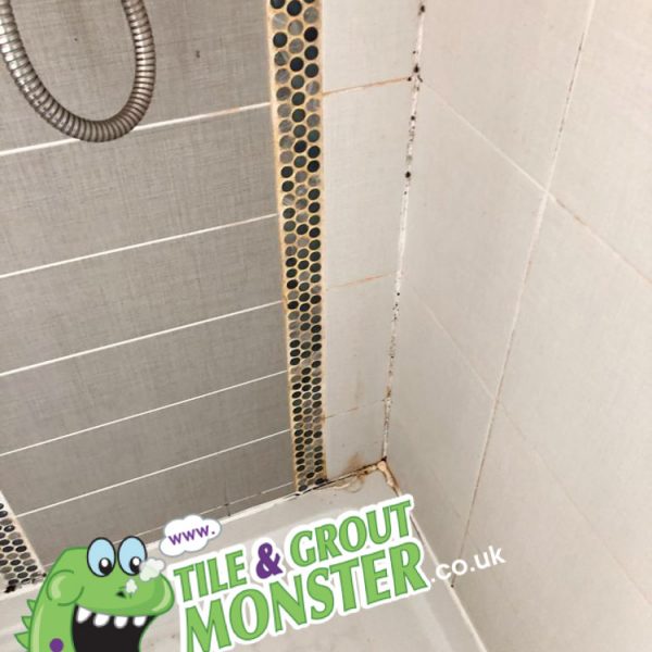 dirty shower tiles cleaned , GROUT MONSTER BELFAST